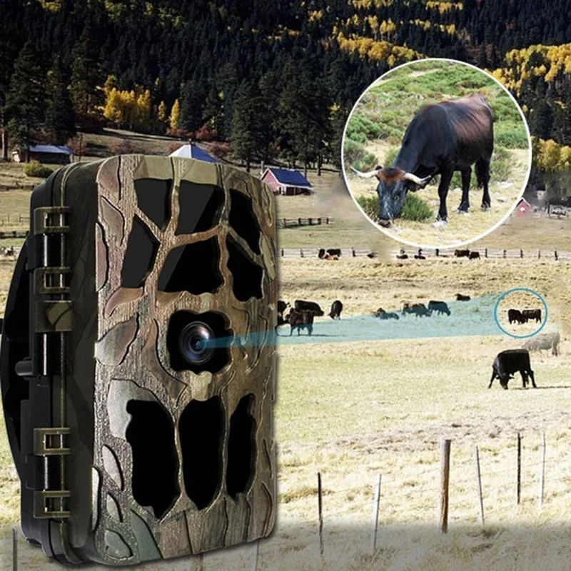 H982 IP66 à prova d'água 4K in - Ip Camera Outdoor 4K avaliação e preço